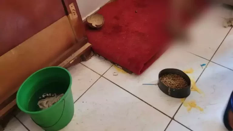 crianças são resgatadas