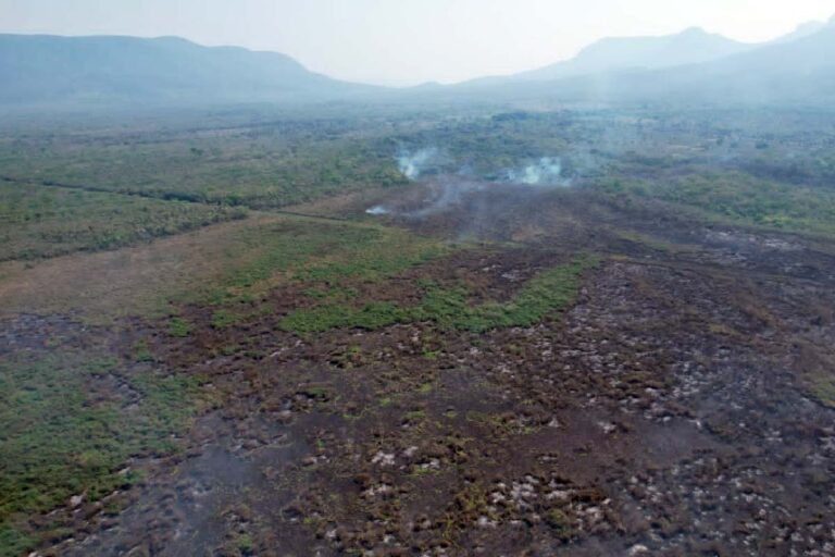 Novos focos de incêndios florestais avançam sobre mais de 400 hectares no Pantanal | vídeo