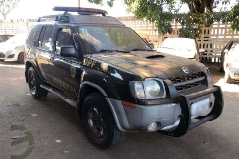 leilão pf