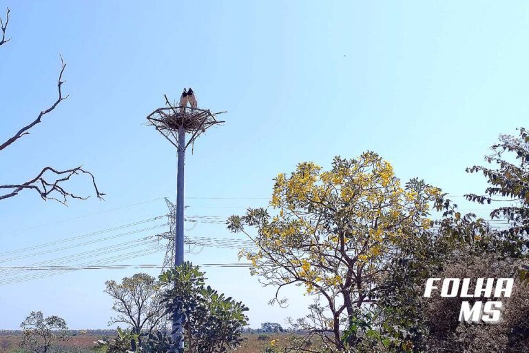 Sábado será de sol e calor em todo o MS