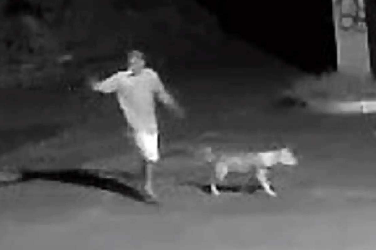 passeando cachorro