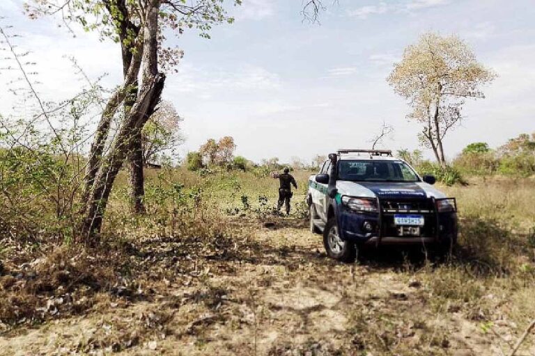 PMA multa três fazendeiros por desmatamento ilegal na região do Pantanal
