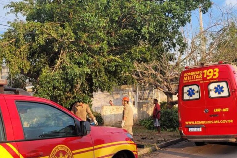 Temporal deixou 26 bairros de Corumbá sem Luz e Energisa reforça equipes na cidade