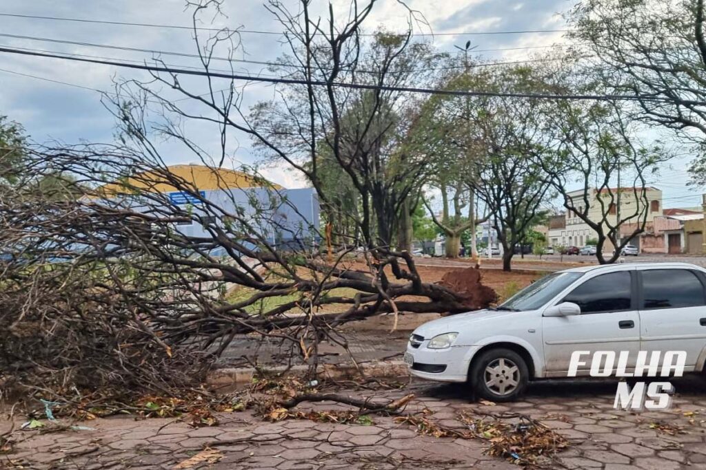 temporal