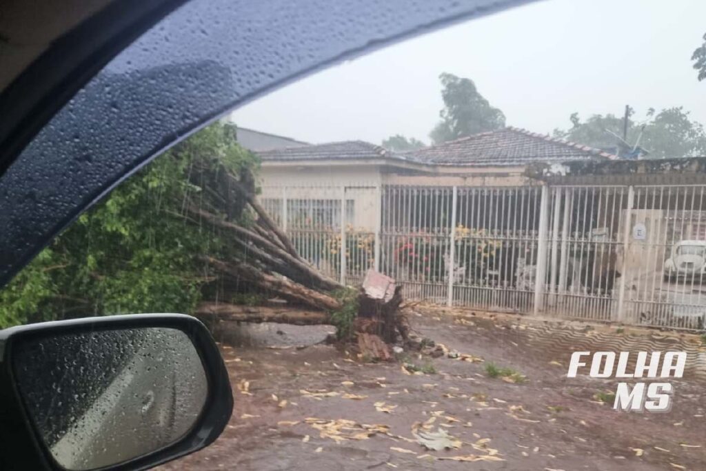 temporal2