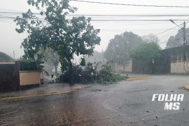 Dezoito cidades de MS entram em alerta de tempestade com chuva forte e granizo