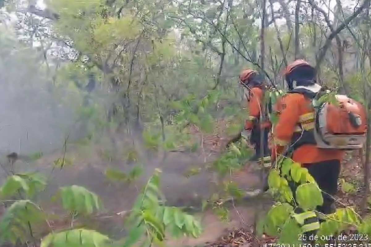 Você está visualizando atualmente Bombeiros combatem incêndios há quatro dias no Pantanal