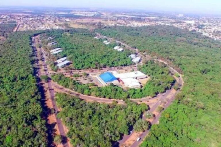 Parque dos Poderes: governo terá que mostrar áreas a serem desmatadas