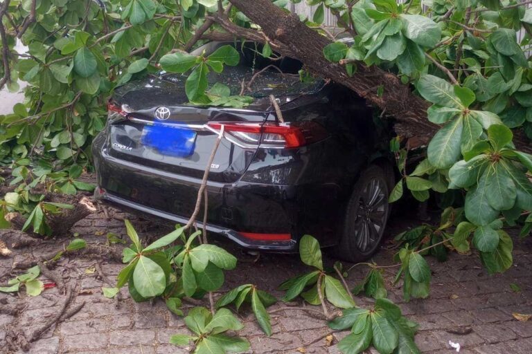 Árvore cai sobre carro estacionado no centro de Corumbá