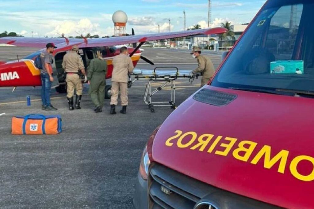 Criança tem testículo mordido por capivara em reserva no Pantanal 2 Capivara