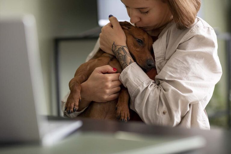 como previnir câncer em pets