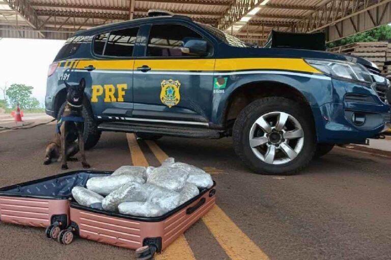 Passageiro de ônibus é preso pela PRF ao ser flagrado com 10 Kg de Skunk