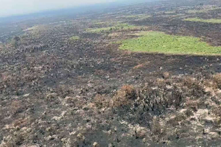 Chuva alivia incêndios na região da Serra do Amolar