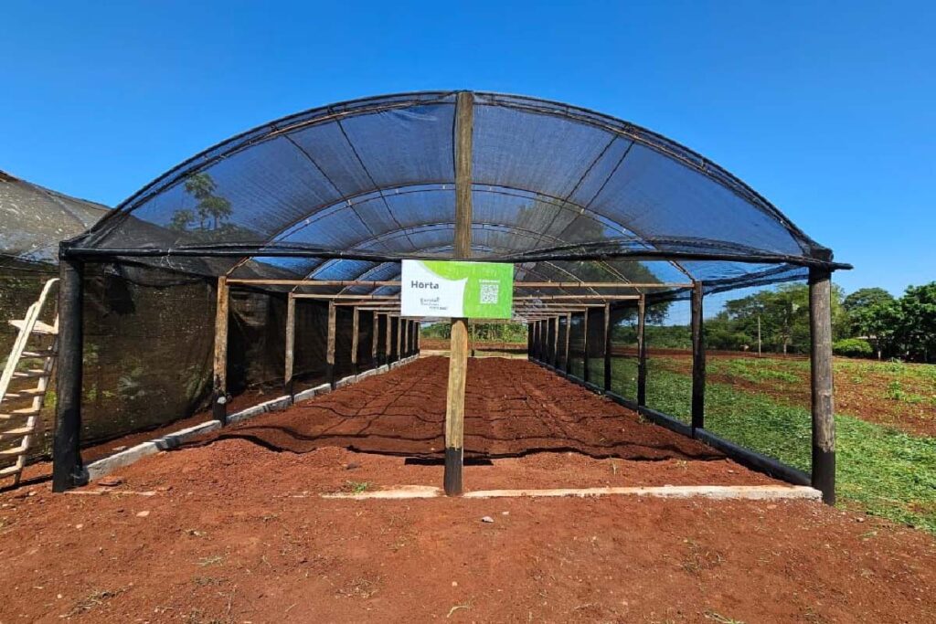 horta escolas