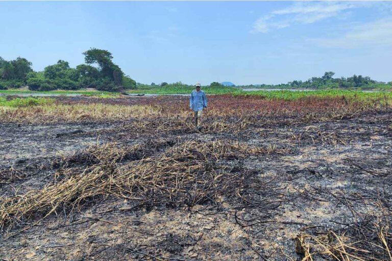 Incêndios voltam ameaçar Pantanal e equipes buscam animais em perigo na região da Serra do Amolar