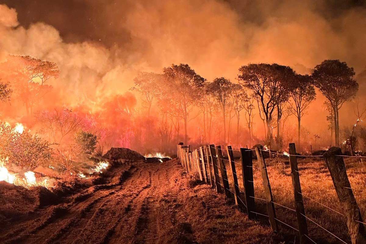 Você está visualizando atualmente Governo de MS intensifica envio de equipes para combate aos incêndios no Pantanal