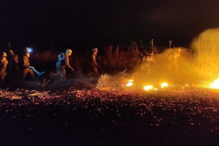 Situação de Emergência