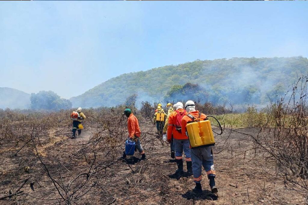 Incêndios no Pantanal colocam MS em alerta e mobilizam Bombeiros no início de 2026 3 prevfogo incêndios no Pantanal MS