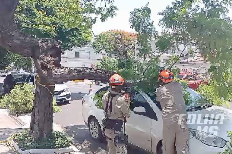 Árvore cai e atinge carro estacionado no centro de Corumbá