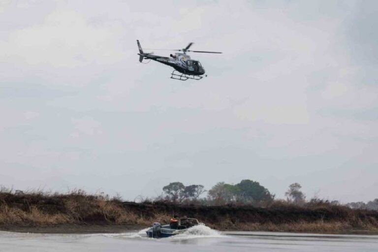 Helicóptero é utilizado para resgatar animais feridos na região do Pantanal