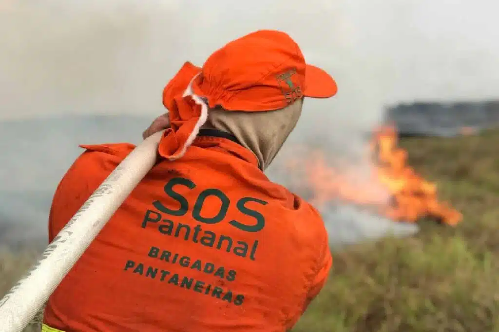 sos pantanal