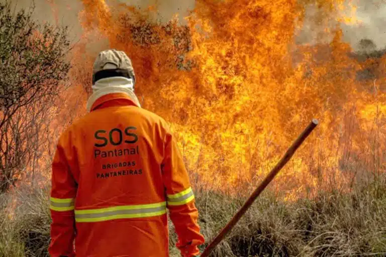 Sistema “Aracuã” promove monitoramento de focos de calor no Pantanal