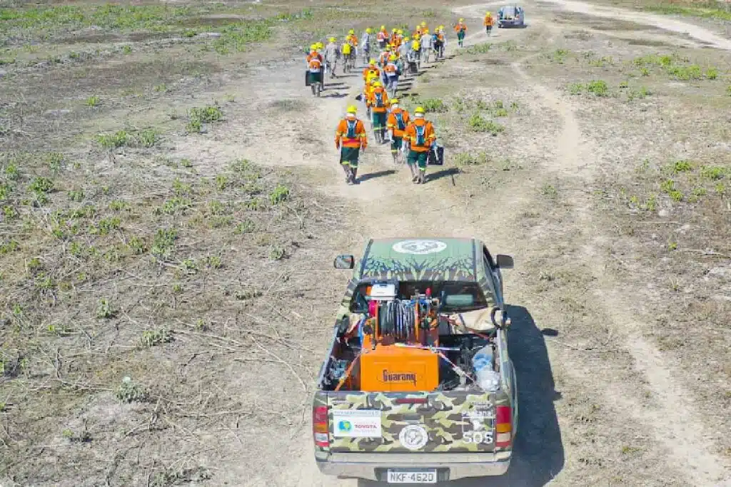 sos pantanal3