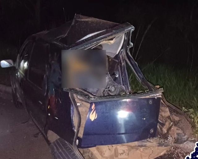 Criança e casal morrem em acidente com carreta na BR-262 após motorista atropelar anta