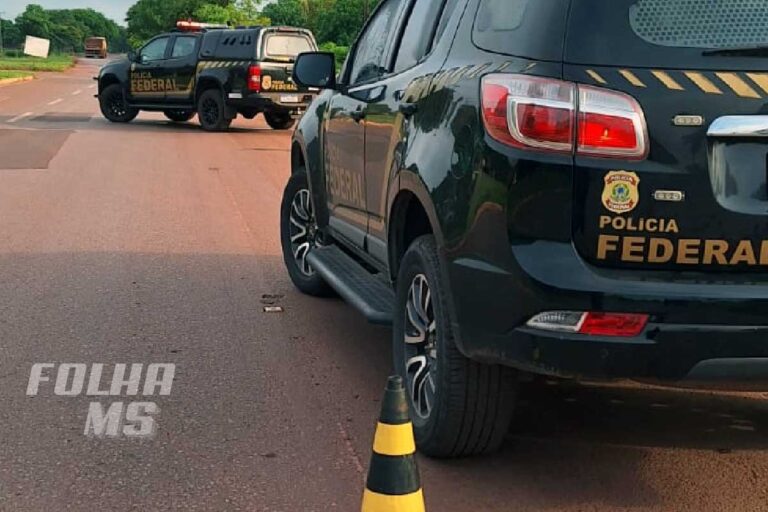 Uma apreensão de maconha em Itaquiraí interceptou 1.208 kg da droga na segunda-feira (22). Ação envolveu PF, PRF e PM.