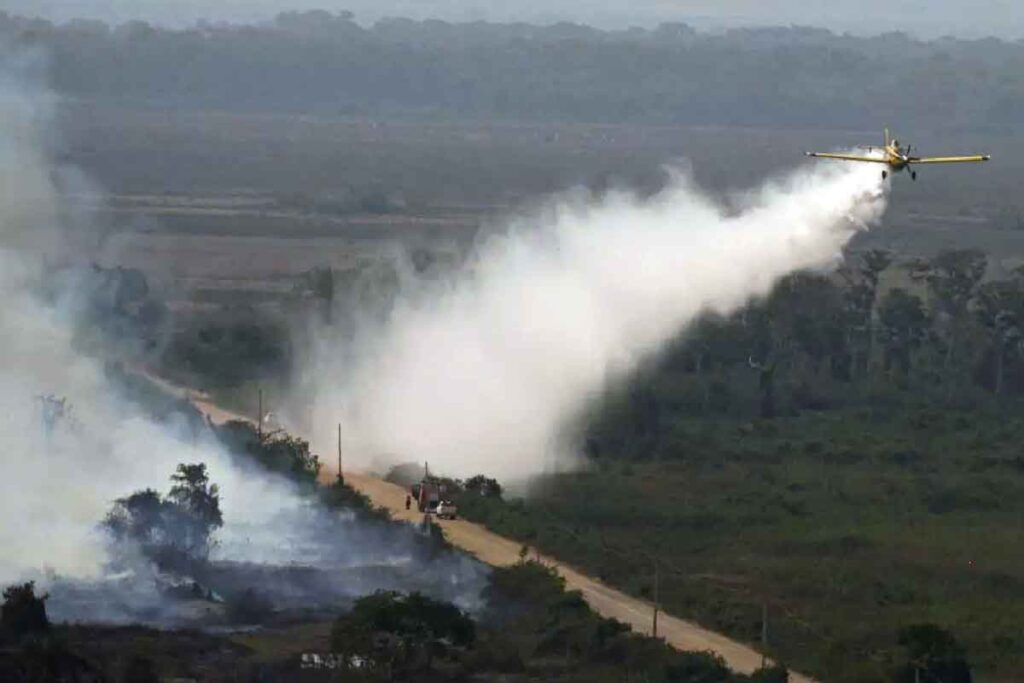 queimadas pantanal rodovias no Pantanal