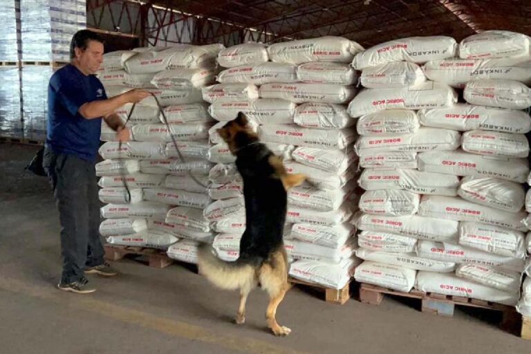 Controle aduaneiro reduz tráfico de insumos para refino de cocaína na fronteira com a Bolívia