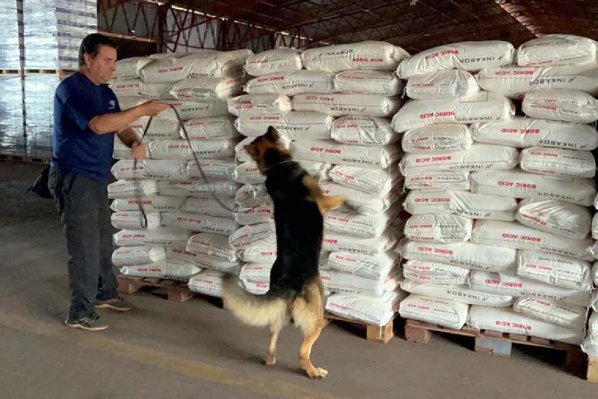 Você está visualizando atualmente Controle aduaneiro reduz tráfico de insumos para refino de cocaína na fronteira com a Bolívia