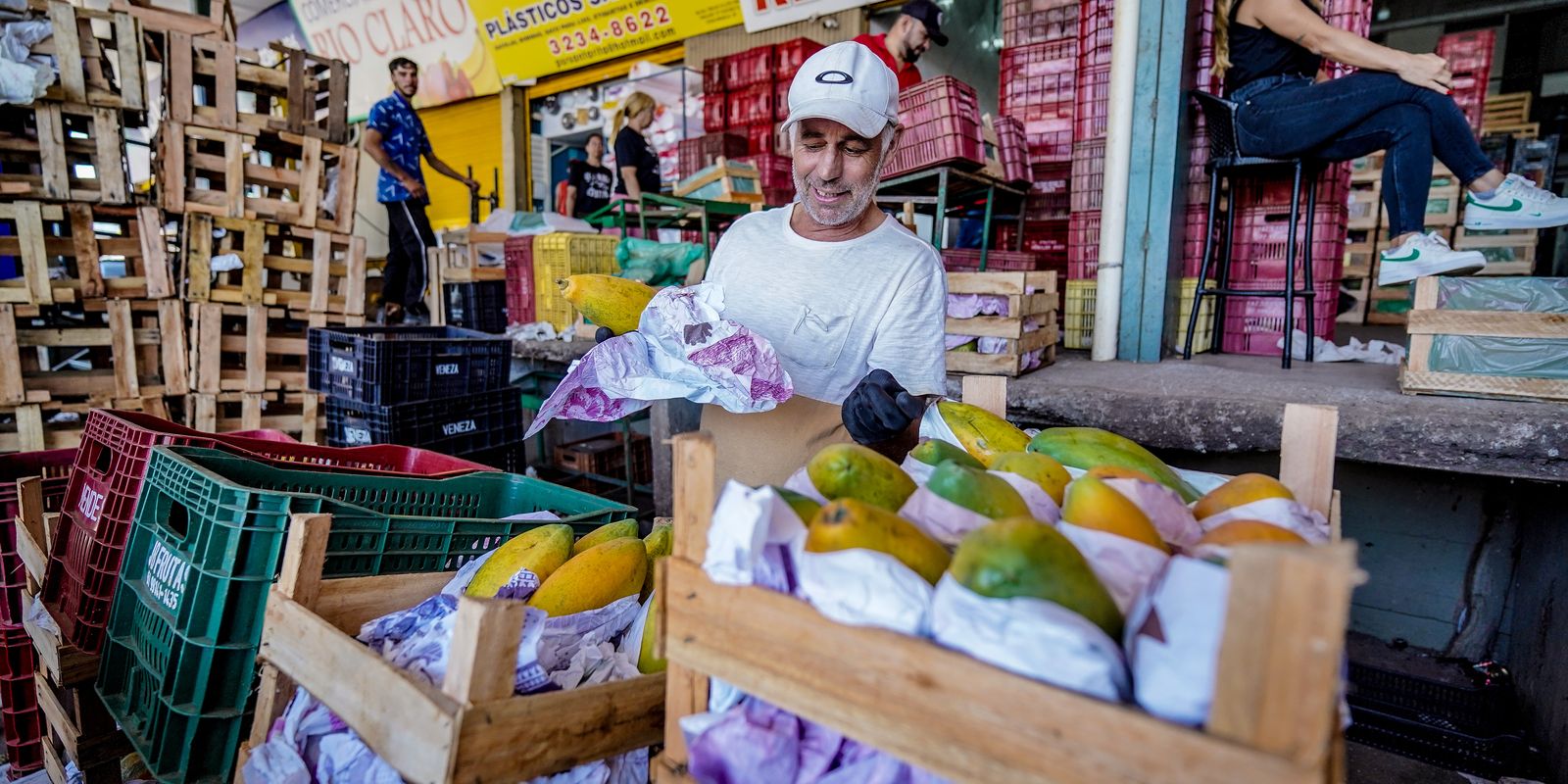 Conab registra queda de precos da alface em dezembro