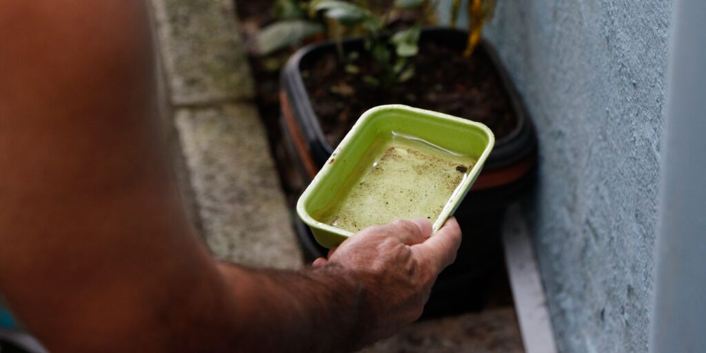 Dengue DF vai aplicar multa em caso de descarte irregular riscos sanitários
