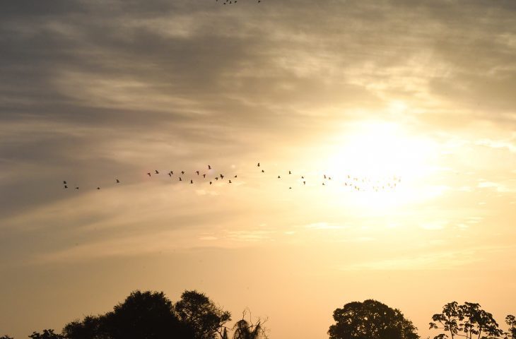 Previsao de sol e possibilidade de chuvas para este sabado