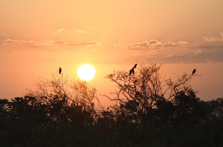 Sexta feira de sol tem tempo estavel e baixa probabilidade de