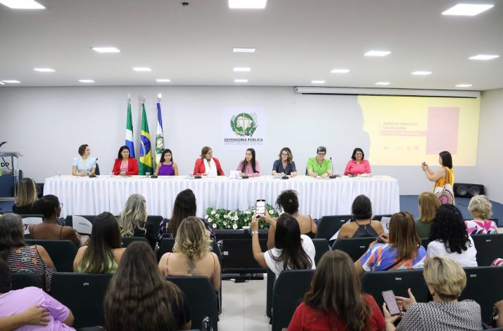 conselho mulheres ms
