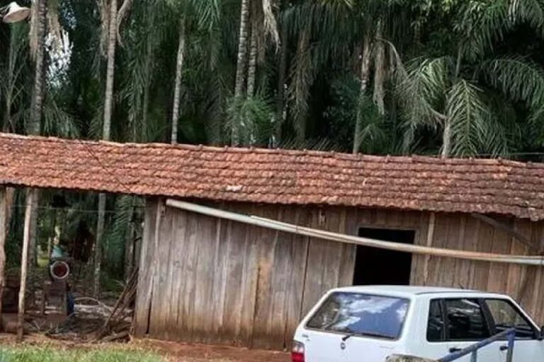 Idosa que agonizou 18 horas após levar machadada na cabeça recebe alta