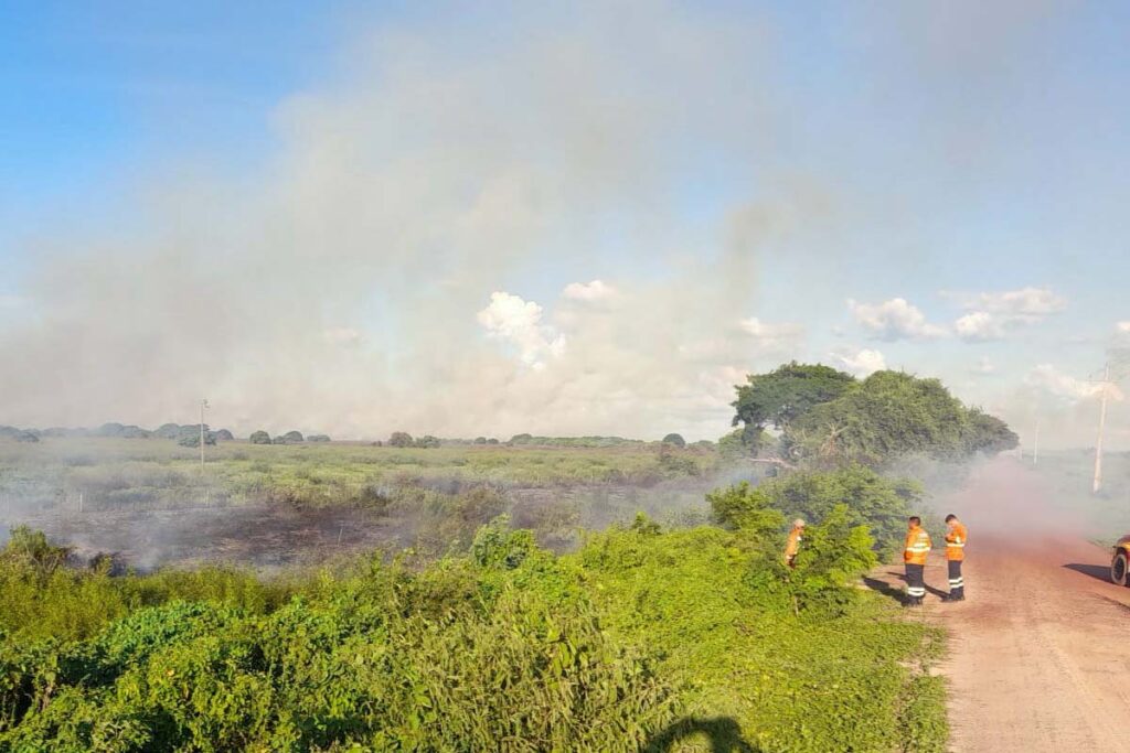 incendio estrada parque