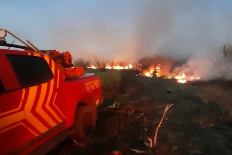 Incêndios na região do Porto da Manga mobilizam equipes do Corpo de Bombeiros