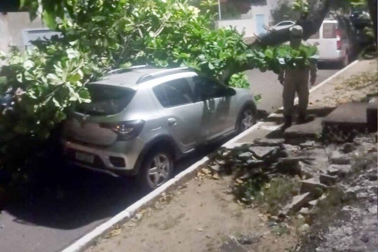 Veículo fica danificado após ser atingido por queda de árvore no centro de Corumbá