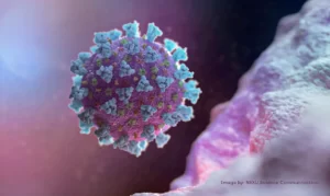 Leia mais sobre o artigo Casos de covid-19 diminuem no Norte e aumentam no Centro-Sul