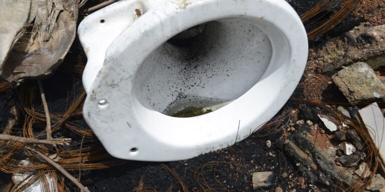 Capital lança pontos de descarte para reduzir criadouros do mosquito da dengue