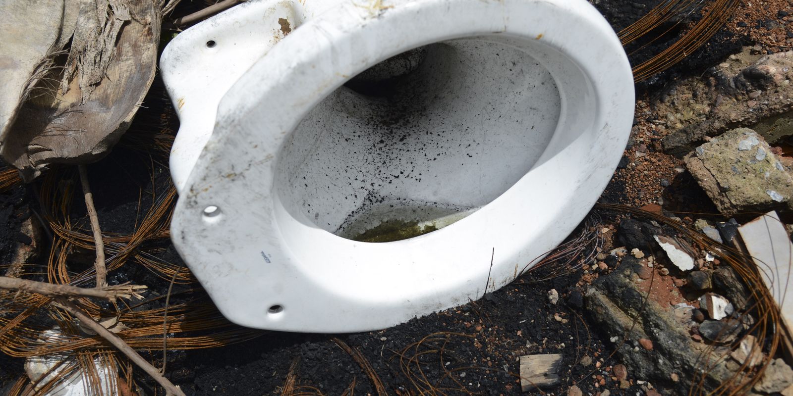 Casos de dengue no estado do Rio aumentam 56 em dengue