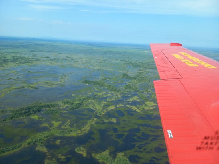 Com incêndio extinto no Pantanal bombeiros fazem monitoramento na Serra do Amolar