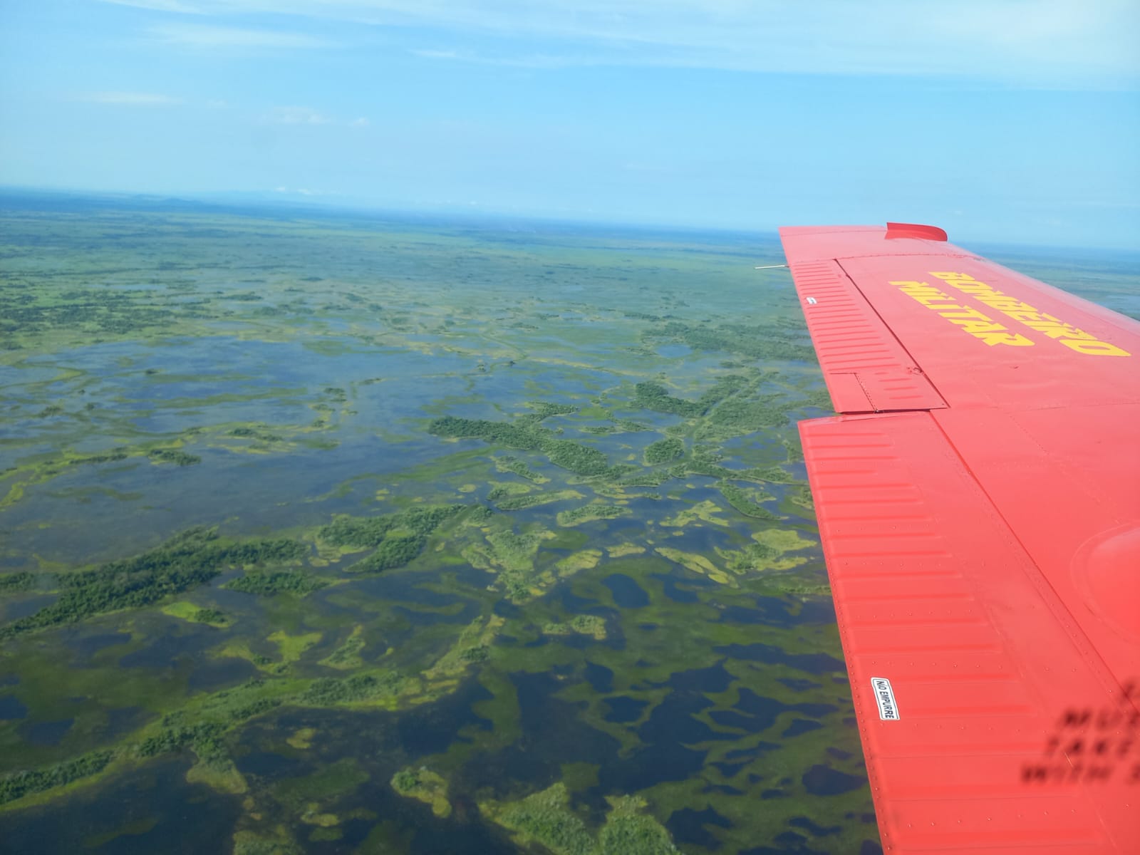Com incendio extinto no Pantanal de MS bombeiros fazem monitoramento