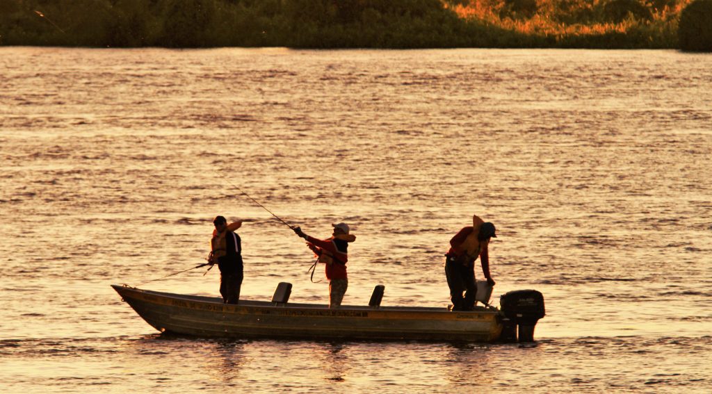 Reaberta temporada de pesca a partir dessa quinta feira Imasul alerta