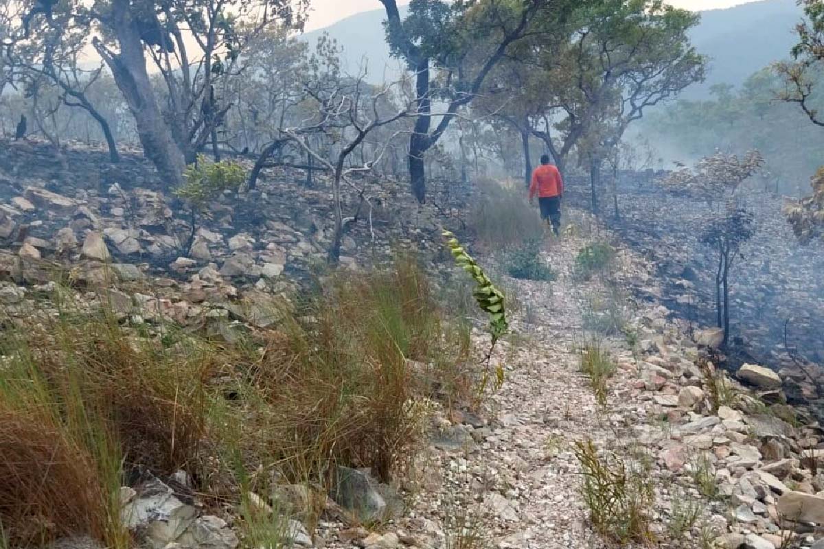 Você está visualizando atualmente Equipes atuam para proteger área de recuperação de incêndios na Serra do Amolar