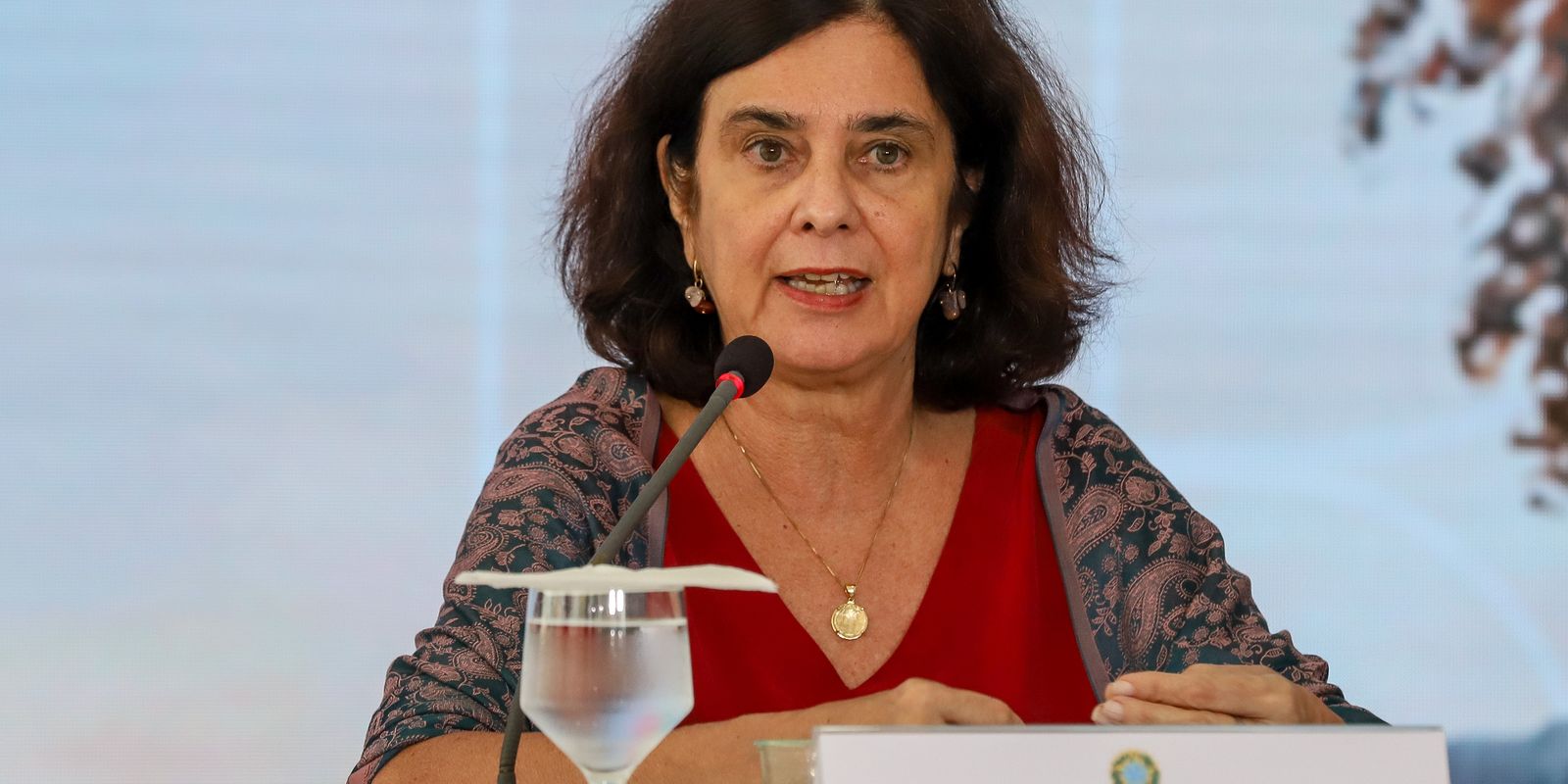 Acordo para producao nacional da Qdenga saira em breve diz