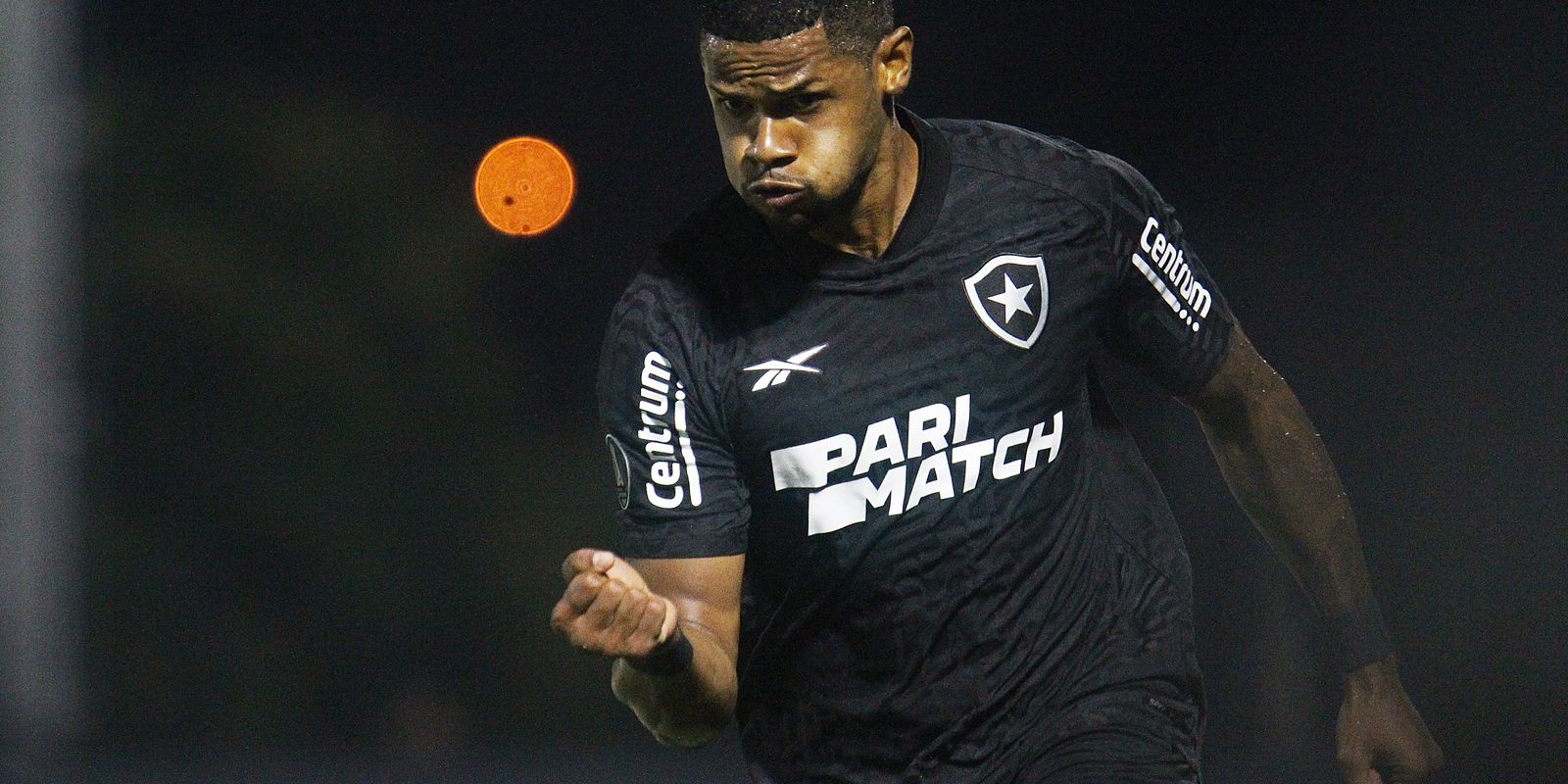 Botafogo garante presenca na fase de grupos da Copa Libertadores